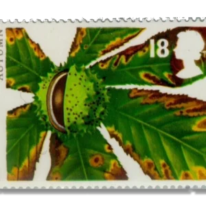 1993 GB1779 Autumn - Horse Chestnut