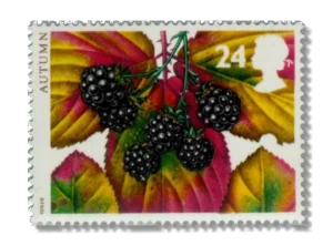 Blackberry