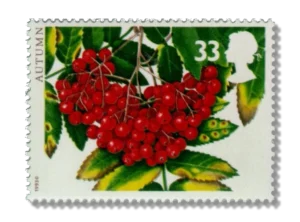Rowan