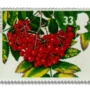 Rowan