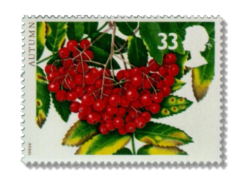 Rowan