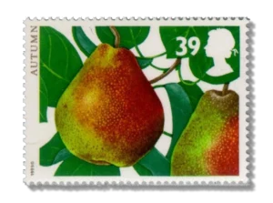 Pear
