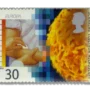 Scanning electron microscopy