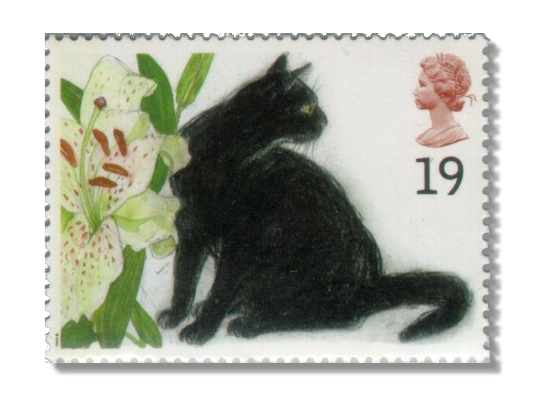 Sophie black cat