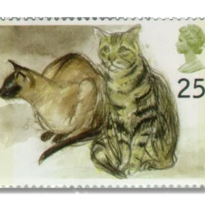 1995 GB1849 Puskas (Siamese) and Tigger (Tabby) (Felis silvestris catus)