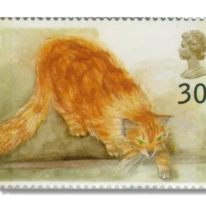 1995 GB1850 Chlloe (Ginger Cat) (Felis silvestris catus)