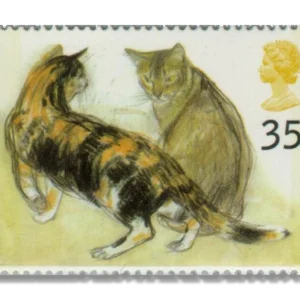 1995 GB1851 Kikko (Tortoiseshell) and Rosy (Abyssinian) - (Felis silvest