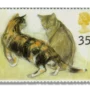 Kikko tortoiseshell and Rosie Abyssinian