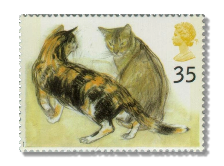 Kikko tortoiseshell and Rosie Abyssinian