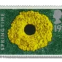 Dandelions