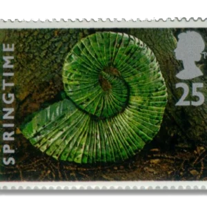 1995 GB1854 Springtime - Shell of chestnut leaves