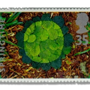 1995 GB1856 Hazel Leaves