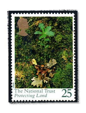 1995 GB1869 Centenary of the National Trust Oak seedling