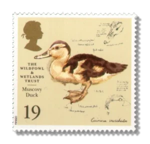 1996 GB1915 50th Anniv. of Wildfowl and Wetlands Trust Muscovy Duck