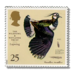 1996 GB1916 Northern Lapwing?(Vanellus vanellus)
