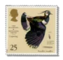 Lapwing