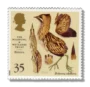 Bittern