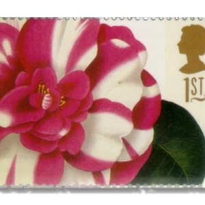 1997 GB1957 Greetings Stamps 19th-century Flower Paintings Camellia japonica