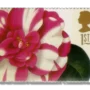 1997 GB1957 Greetings Stamps 19th-century Flower Paintings Camellia japonica