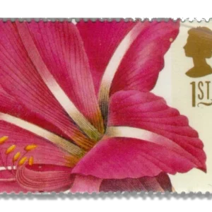 1997 GB1963 Greetings Stamps 19th-century Flower Paintings Hippeastrum rutilum