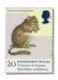 1998 GB2015 Common Dormouse (Muscardinus avellanarius)
