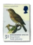 1998 GB2017 Song Thrush (Turdus philomelos)