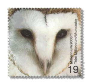 2000 GB2125 Common Barn Owl (Tyto alba)