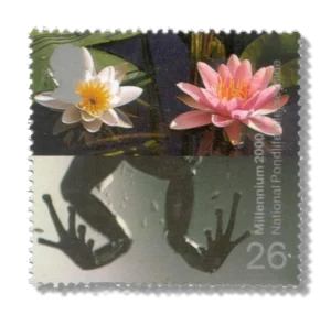 2000 GB2135 Frog's Legs and Water Lilies (National Pondlife Centre)