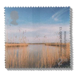 2000 GB2138 Reed Beds, River Braid (ECOS, Ballymena)