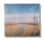 2000 GB2138 Reed Beds, River Braid (ECOS, Ballymena)
