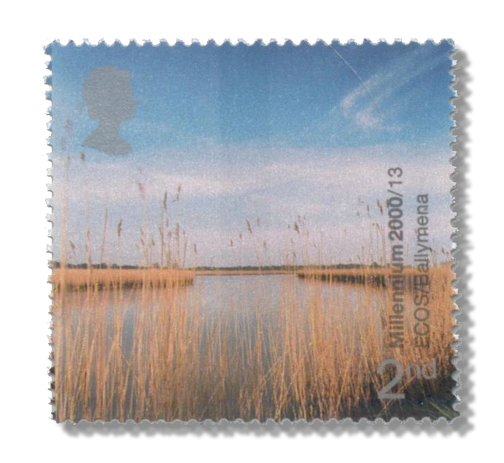 2000 GB2138 Reed Beds, River Braid (ECOS, Ballymena)