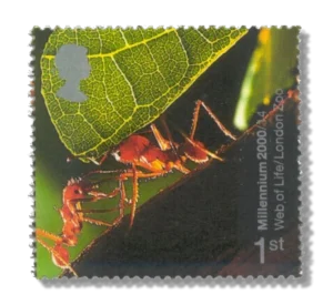 2000 GB2139 Leafcutter Ant (Atta sp.)