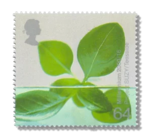 2000 GB2141 Hydroponic Leaves (Project SUZY, Teeside)