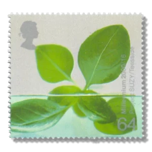 2000 GB2141 Hydroponic Leaves (Project SUZY, Teeside)