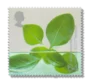 2000 GB2141 Hydroponic Leaves (Project SUZY, Teeside)
