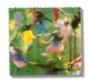 2000 GB2148 Children playing (Millennium Greens Project)