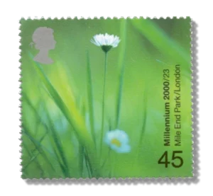 2000 GB2150 Daisies (Mile End Park, London)
