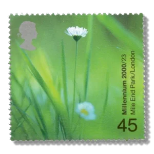 2000 GB2150 Daisies (Mile End Park, London)