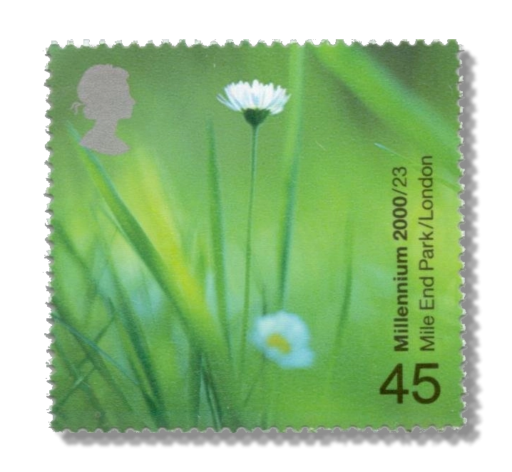 2000 GB2150 Daisies (Mile End Park, London)