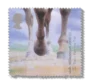 2000 GB2153 Horse's Hooves (Trans Pennine Trail, Derbyshire)