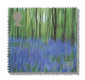 2000 GB2155 Bluebell Wood (Groundwork's "Changing Places" Project)