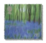 2000 GB2155 Bluebell Wood (Groundwork's "Changing Places" Project)