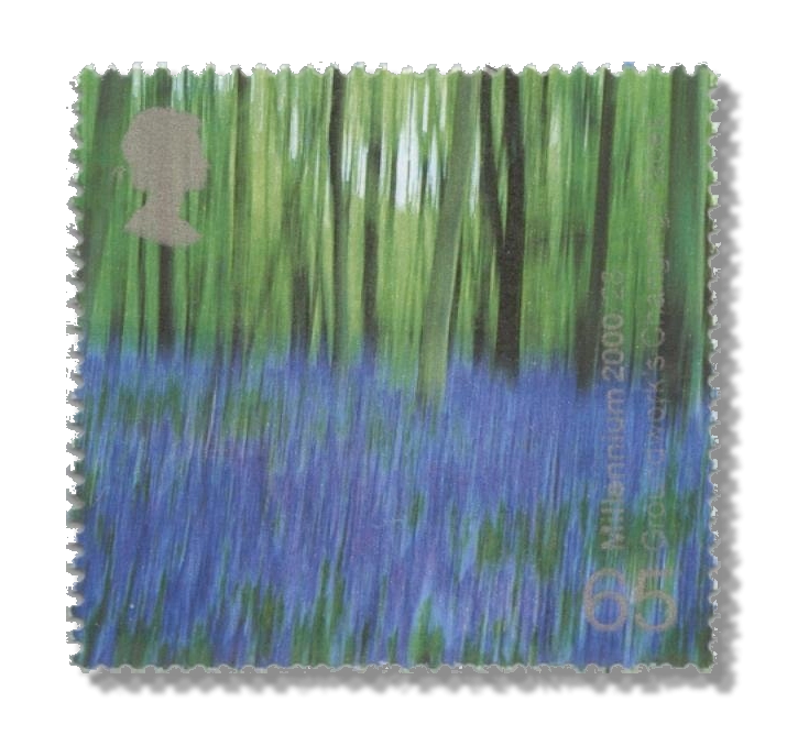 2000 GB2155 Bluebell Wood (Groundwork's "Changing Places" Project)