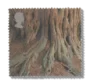 2000 GB2156 Tree Roots ("Yews for the Millennium" Project)