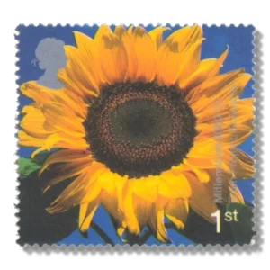 2000 GB2157 Sunflower ("Eden" Project, St Austell)