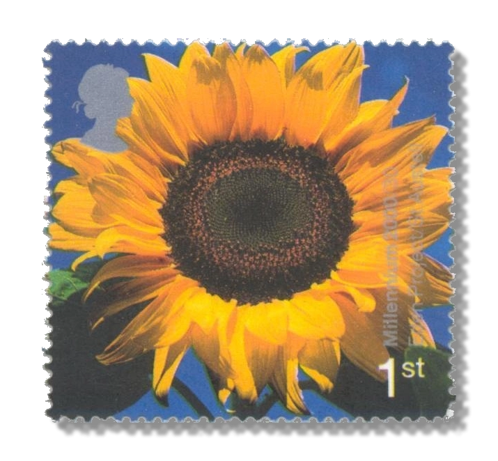 2000 GB2157 Sunflower ("Eden" Project, St Austell)
