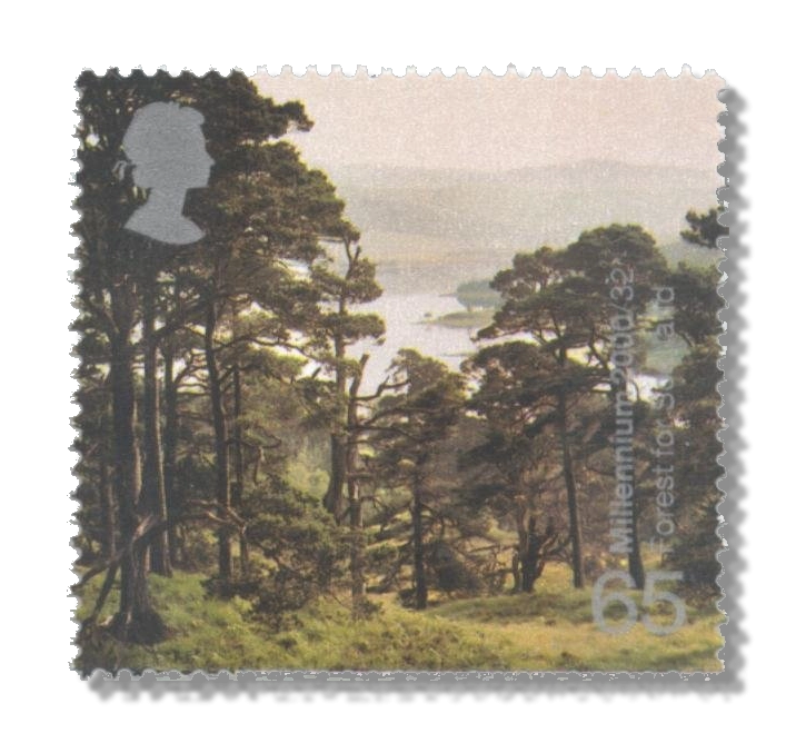 2000 GB2159 Forest, Doire Dach ("Forest for Scotland")