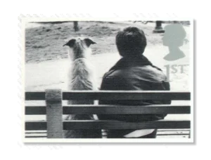 2001 GB2187  Cats and Dogs