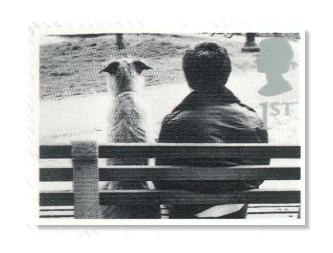 2001 GB2187 Cats and Dogs