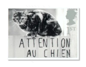 2001 GB2191  Cat on Gate